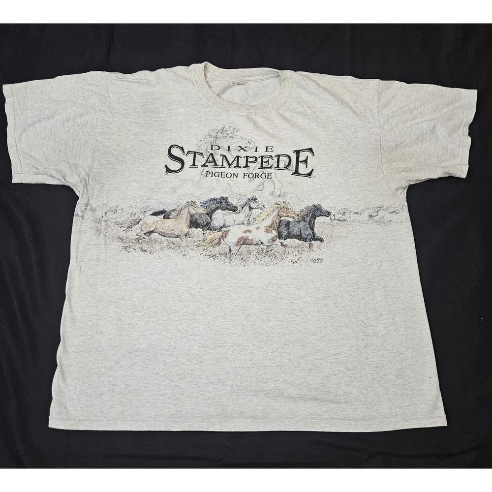 Dixie Stampede Men's Size 2XL Shirt Short Sleeve Graphic Vintage